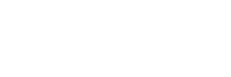 denver intergrative massage school logo in white